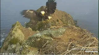 West End Eagle Cam -(  THUNDER.. BABY,  YOU'RE .THE. BEST ! 💗 ) 7/9/21