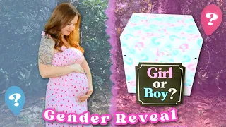 GENDER REVEAL FOR BABY #3! FINDING OUT IF BABY IS A BOY OR GIRL |Pregnancy Journey after Miscarriage