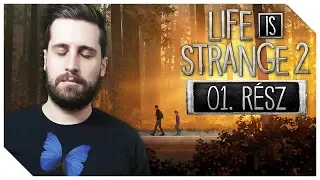 NEM SZABAD SÍRNI, HA FÁJ... 👦🏻 Life is Strange 2 | 1. rész (Végigjátszás)