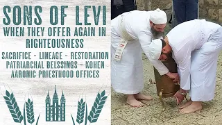 When the Sons of Levi Offer in Righteousness - Lineage - Patriarchal Blessings - Restoration