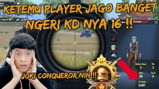 NGERI !! KETEMU PLAYER KD NYA 16 ASLI JAGO MAINNYA , AIMNYA SAKIT JOKI CONQUEROR NIH - PUBG MOBILE