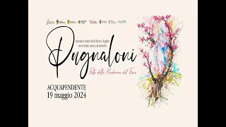 I Pugnaloni di Acquapendente (Vt) 2024