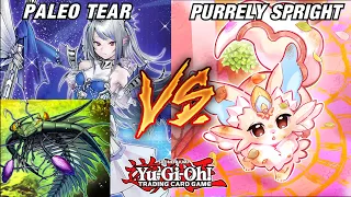 YU-GI-OH! PALEOZOIC TEARLAMENT V.S. PURRELY SPRIGHT | YOU'RE GOING TO WANT TO SEE THIS...