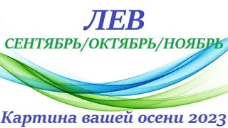 ЛЕВ ♌ ОСЕНЬ 2023🌞 таро прогноз/гороскоп на сентябрь/ октябрь/ ноябрь 2023 “Картина  вашей ОСЕНЬ”