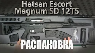 Ружье Hatsan ESCORT SD12-TS кал.12x76 в пластиковом кейсе. Обзор комплекта поставки.