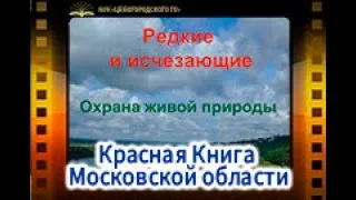 Редкие и исчезающие. Красная Книга Московской области.