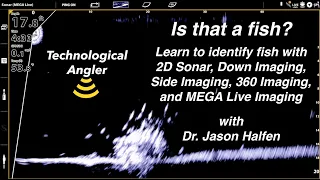 Is that a fish?  How to identify fish with sonar  The Technological Angler