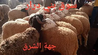 سوق الأضاحي بني درار جهة الشرق( وجدة)ليومه الخميس 2/5/2024 /اثمنة الخروف
