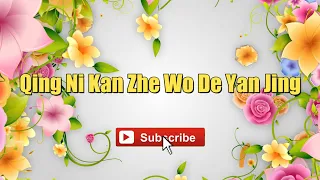 Qing Ni Kan Zhe Wo De Yan Jing - Linda Wong #lyrics #lyricsvideo #singalong