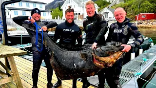 Spearfishing and Fishing giant Halibut in North Norway - In Details