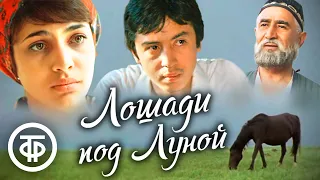 Лошади под Луной. Художественный фильм (1979)