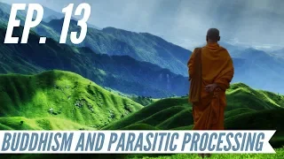 Ep. 13 - Awakening from the Meaning Crisis - Buddhism and Parasitic Processing
