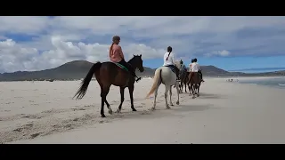 noordhoek beach walk 2022