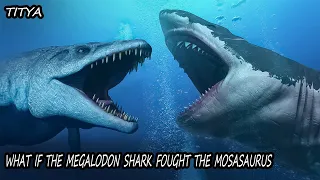 What If The Megalodon Shark Fought The Mosasaurus