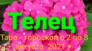 Телец Таро - гороскоп с 2 по 8 августа  2021 г.