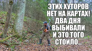 ДВА ДНЯ ВЫБИВАЛИ ХУТОРА НА КРАЮ ОВРАГА! Поиск золота с металлоискателем / Russian Digger