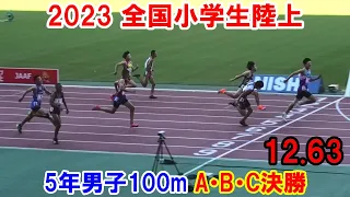 2023全国小学生陸上 5年男子100m A・B・C決勝