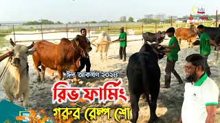 ঢাকায় "অর্গানিক পদ্ধতিতে সুন্দর পরিবেশে কোরবানির গরু প্রস্তুত করছে রিভ ফার্মিং! কোরবানির গরু ২০২৪