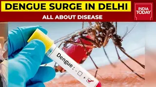 Dengue Surge In Delhi-NCR: Everything You Need To Know About Disease | India Today