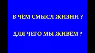 WHAT IS THE MEANING OF LIFE? WHAT DO WE LIVE FOR? В ЧЁМ СМЫСЛ ЖИЗНИ?  ДЛЯ ЧЕГО МЫ ЖИВЁМ? Trehlebov