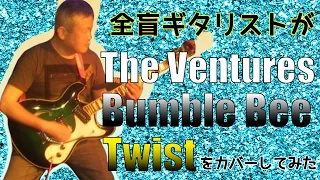 【全盲ギタリスト】Bumble Bee Twist/The Ventures バンブルビーツウィスト/ベンチャーズ【cover】