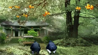 A picnic tree in Wudang Mountain suddenly produces the immortal fruits of immortality