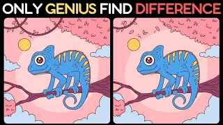 Spot The Difference : Only Genius Can Find