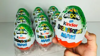 NEW 2022 Kinder Maxi Natoons 2022 NEU Kinder Surprise Maxi Natoons 2022 Киндер Сюрприз Макси Натунс