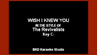 Wish I Knew You (In the Style of The Revivalists) Karaoke with Lyrics