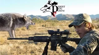 Hunting on AZ Ranch for Predators ( Watch in HD 1080 )