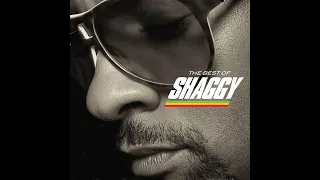 Shaggy - Boombastic