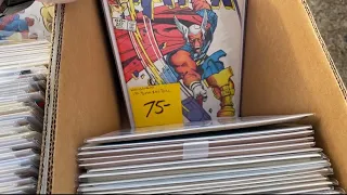 Found Over 10,000 Comic Books at The Biggest Flea Market in South Carolina