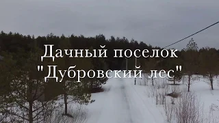 Дачный поселок "Дубровский лес"