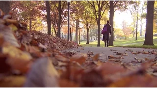 Fall at Kent State