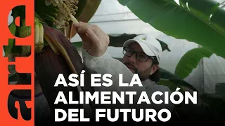 Países Bajos: ¿la comida del futuro? | ARTE.tv Documentales