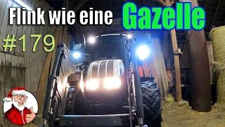 FarmVlog 179: Flink wie eine Gazelle | Und weg war der Schnee #XMASDAILY 22.Dezember