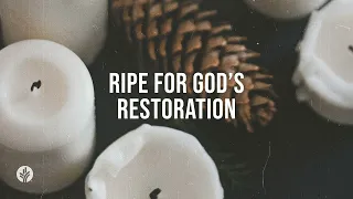 Ripe for God's Restoration | Audio Reading | Our Daily Bread Devotional | January 7, 2024