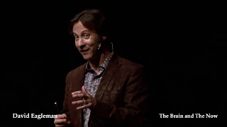 The Brain and The Now | David  Eagleman