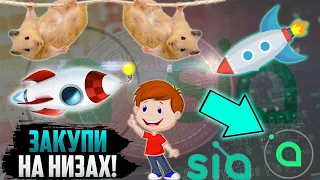 SIACOIN - КРИПТОВАЛЮТА БУДУЩЕГО? КОГДА ЖДАТЬ ИКСЫ? БИТКОИН - НЕ ПОМЕХА? ПОЧЕМУ РОСТА SC НЕ БУДЕТ?