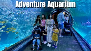 Adventure Aquarium Camden, NJ (Tour) 2022 July 3 - First Time Experience!