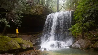 5 EASY Waterfall Hikes in One Day | Bankhead National Forest