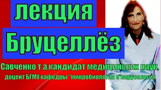 Бруцеллёз.Бруцеллёз- лекция по микробиологии.