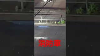 夕刻の　サイレン走行　119番通報　緊急走行　消防車　#火事　#火災