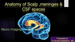 3-Anatomy of the ventricle ,CSF spaces, meninges