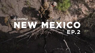 NEW MEXICO - Archery Elk Hunt with Phelps Game Calls // EP.2
