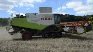 Claas Lexion 570TT Harvesting OSR