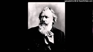 Brahms Piano Trio op. 8 4.Allegro