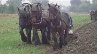 Verzeeuwigd maandag 24 oktober 2016