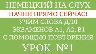 НЕМЕЦКИЙ ДЛЯ НАЧИНАЮЩИХ на слух. Плейлист: все слова для экзамена GOETHE А1 - В1. Тексты и диалоги.