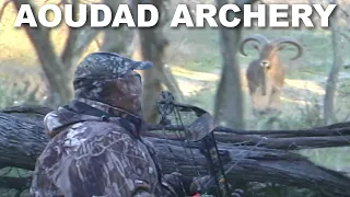 BOW HUNTING for Aoudad | Throwback